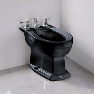 Click here to see Toto BT784B#51 TOTO Clayton Bidet w/ Flushing Rim, Vertical Spray, Less Faucet, Ebony - BT784B#51