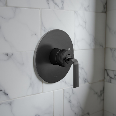 Click here to see Moen TS2581BL Moen Cambium Pressure Balancing Valve Trim, Posi-Temp, M-PACT, ADA, WaterSense, 1.75 GPM, Matte Black - TS2581BL