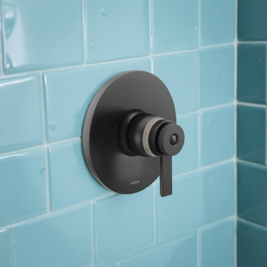 Click here to see Moen TS5101BL Moen Cambium Thermostatic Valve-Only Trim, ADA, Matte Black - TS5101BL