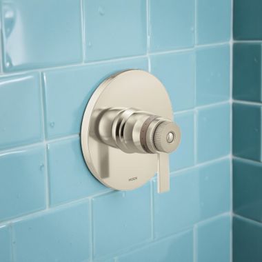 Click here to see Moen TS5101NLBN Moen Cambium Thermostatic Valve-Only Trim, ADA, Brushed Nickel/Polished Nickel - TS5101NLBN