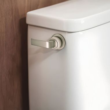 Click here to see Moen YB0601NLBN Moen Cambium Toilet Tank Lever, Brushed Nickel/Polished Nickel - YB0601NLBN 