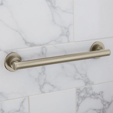 Click here to see Moen YG0618BN Moen Cambium 18