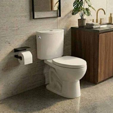Click here to see  09502000U3 Duravit No.1 PRO Series 1.28-Gallon Toilet Tank with Left-Hand Lever, White - 09502000U3 
