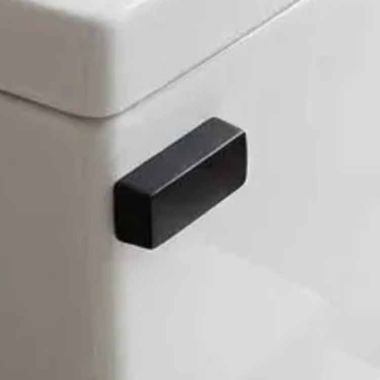 Click here to see Icera F-73.05 ICERA Front-Mount Lever for Left Hand Tanks, Matte Black - F-73.05