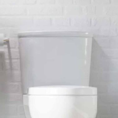 Click here to see Icera T-2250.01 ICERA Palermo 1.28 GPF Toilet Tank, White - T-2250.01