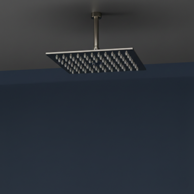 Click here to see   Phylrich 6