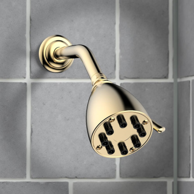 Click here to see   Phylrich Jet Variable Spray Shower Head, Satin Brass - K829-004