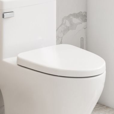 Click here to see   ICERA Duroplast Elongated Soft‑Close Quick‑Release Toilet Seat, Gloss White - S230.01