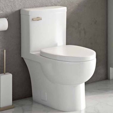 Click here to see   ICERA MALIBU II Elongated Rimless Toilet Bowl with 10