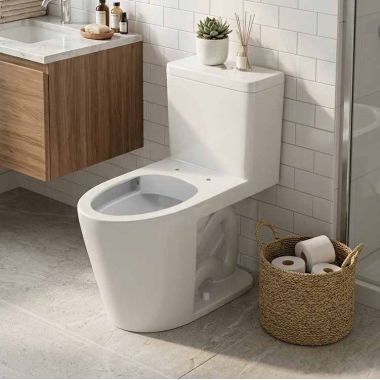 Click here to see   DURAVIT D‑Nero PRO 1.28 Gallon One-Piece Toilet, Vertical Outlet, White - 205101AAU3