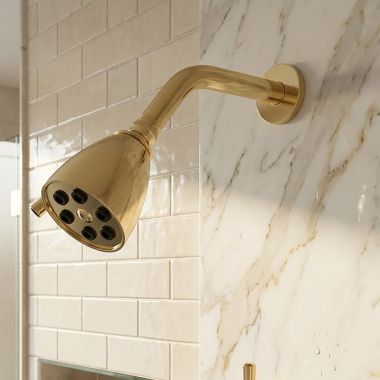 Click here to see   Phylrich Basic Round Shower Head, Uncoated Polished Brass - D830-03U