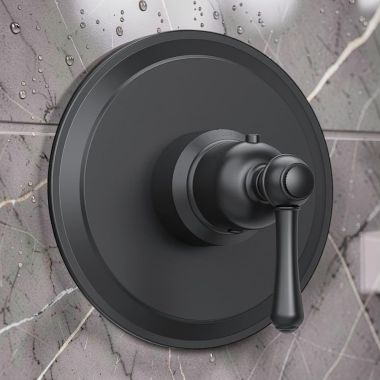Click here to see   Danze Opulence Single-Handle Thermostatic Valve Trim Only, Satin Bronze - D562057BST