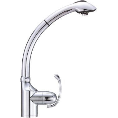 Click here to see Danze D456720 Danze Anu Single Handle Pull-Out Kitchen Faucet, Chrome - D456720