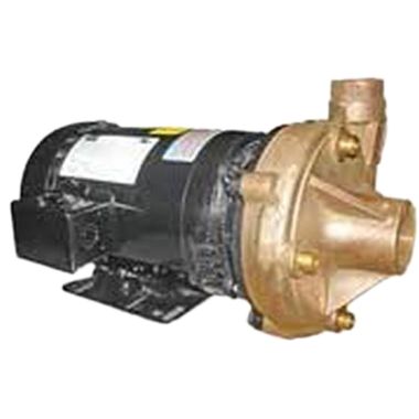 Click here to see Little Giant 614405 Little Giant 614405 NSPHE-300-3 Pump 3 Hp 208-230/460V