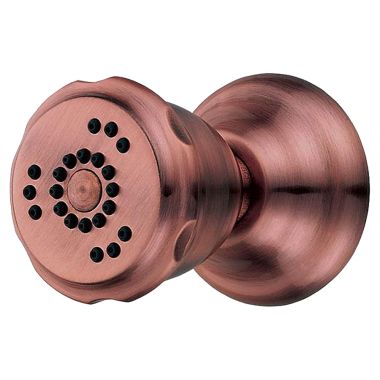 Click here to see Danze D460165AC Danze D460165AC 2 Function Antique Copper Wall Mount Body Spray