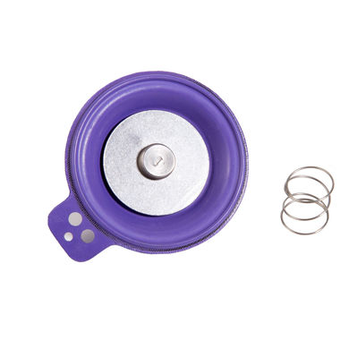 Click here to see Rainbird DIAPH100G Rain Bird Diaphragm Repair Kit for 100 EFA Valves - DIAPH100G (202868)