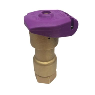 Click here to see Rainbird I5NP Rain Bird International Model, 2-Piece Body Inlet Quick Coupling Valve with Non-Potable Locking Cover, 1