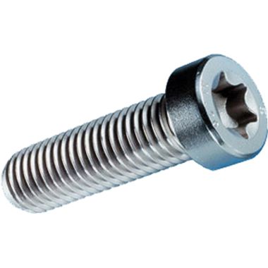 Click here to see Milwaukee 05-88-1200 MILWAUKEE 05-88-1200 M4 X 16 TORX SL SCREW
