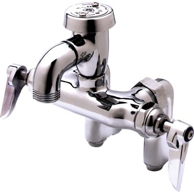 Click here to see T&S Brass B-0669-POL T&S B-0669-POL Service Sink Faucet