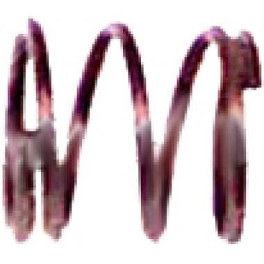 Click here to see Milwaukee 40-50-0365 MILWAUKEE 40-50-0365 SPRING