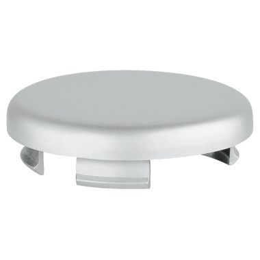Click here to see Grohe 45652P00 Grohe 45652P00 Cover Plate in Matte Chrome 