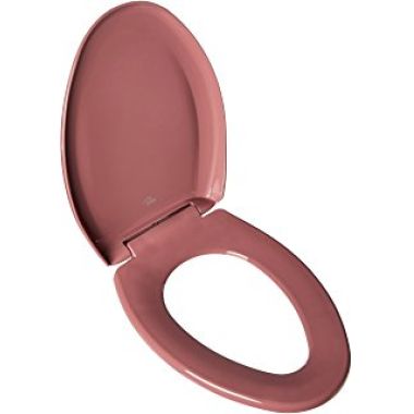 Click here to see Bemis 1200SLOWT-303 Bemis Residential Toilet Seat, Whisper Close, Plastic - Dusty Rose (1200SLOWT-303)