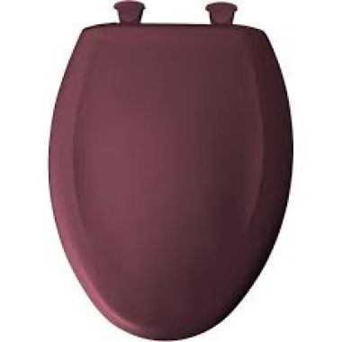 Click here to see Bemis 1200SLOWT-373 Bemis Residential Toilet Seat, Whisper Close, Plastic - Loganberry (1200SLOWT-373)
