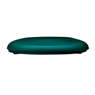 Click here to see Bemis 1200SLOWT-655 Bemis Residential Toilet Seat, Whisper Close, Plastic - Teal (1200SLOWT-655)