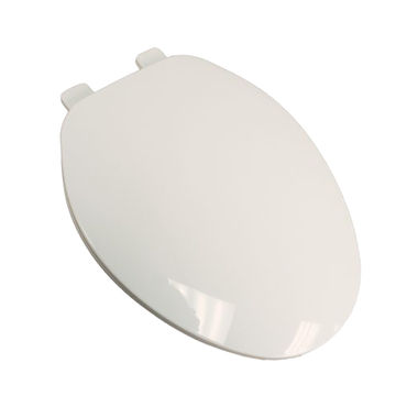 Click here to see Jones Stephens C101100 Jones Stephens C101100 White Elongated Plastic Toilet Seat