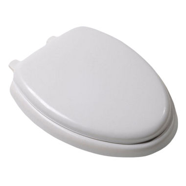 Click here to see Jones Stephens C3B5E200 Jones Stephens C3B5E200 White Elongated Padded Wood Toilet Seat