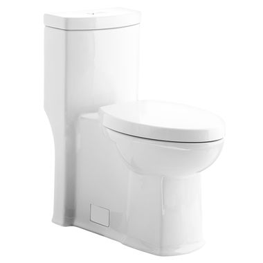 Click here to see American Standard 2891.200.020 American Standard Boulevard One-Piece Toilet w/ Slow Close Seat, Elongated, Right Height, Dual Flush, 1.6/1.1 GPF, White, - 2891.200.020