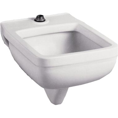 Click here to see American Standard 9512.999.020 American Standard 9512.999.020 Wall-Mount Clinic Service Sink, White