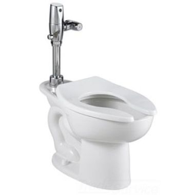 Click here to see American Standard 3461.528.020 American Standard 3461.528.020 White Madera ADA Elongated Bowl Toilet