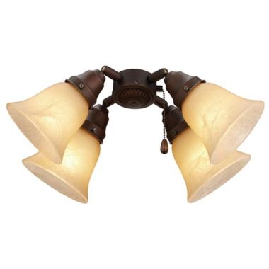 Click here to see Broan TF40RB Broan-NuTone Turtle Fitter with 13W Compact Flourescent Bulbs, Oil Rubbed Bronze - TF40RB