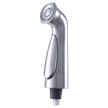 Click here to see Delta RP72751AR Delta Cassidy Arctic Stainless Side Spray and Hose Assembly for 4297-DST and 2497LF Kitchen Faucets - RP72751AR