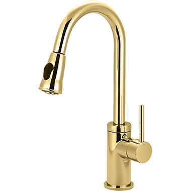 Click here to see Pioneer 2MT250-PB Pioneer 2MT250-PB Single-Handle Pull-Down Kitchen Faucet In Polished Brass 