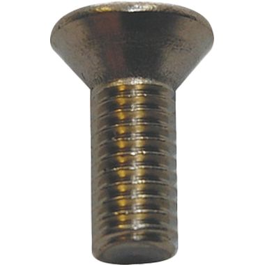Click here to see Chicago Faucet 420-010JKRCF Chicago Faucets 420-010JKRCF Oval Head Phillips Screw