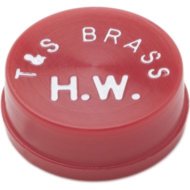 Click here to see T&S Brass 001194-45 T&S Brass 001194-45 Snap-In Index Button