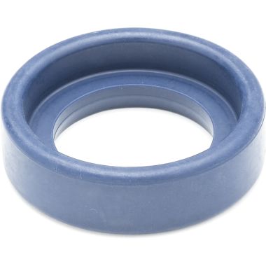 Click here to see T&S Brass 011475-45 T&S BRASS 011475-45 EB-0107 SPRAYHEAD RING, BLUE