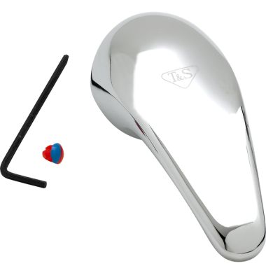 Click here to see T&S Brass 013113-45 T&S BRASS 013113-45 SINGLE LEVER 