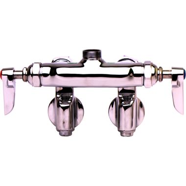 Click here to see T&S Brass B-0240-LN T&S BRASS B-0240-LN DOUBLE PANTRY SWIVEL FAUCET, WALL MOUNT, ADJUSTABLE CENTERS, INTEGRAL