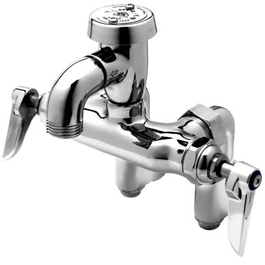 Click here to see T&S Brass B-0669-01 T&S Brass B-0669-01 Service Sink Faucet