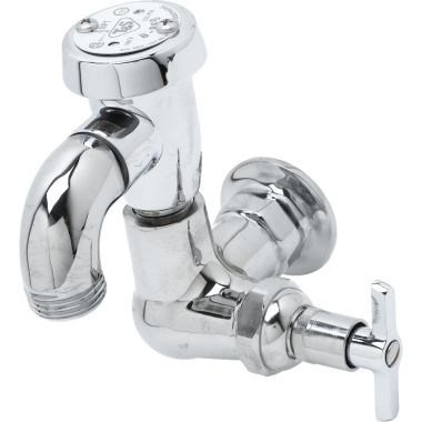 Click here to see T&S Brass B-0722 T&S BRASS B-0722 SILL FAUCET, VACUUME BREAKER, 3/4