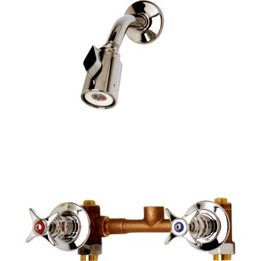 Click here to see T&S Brass B-1060 T&S BRASS B-1060 MIXING VALVE WITH ADJUSTABLE SHOWER HEAD, 1/2