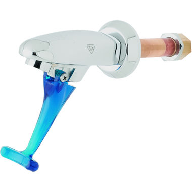 Click here to see T&S Brass B-1202 T&S Brass B-1202 Glass Filler