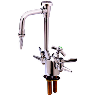 Click here to see T&S Brass BL-6005-02 T&S BRASS BL-6005-02 LAB FIXTURE, GAS & WATER, 2 GAS COCKS, 6