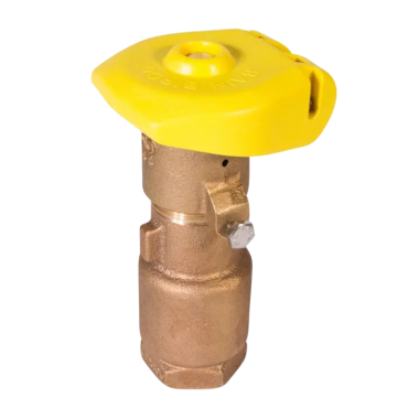 Click here to see Rainbird 44LRC Rain Bird 1