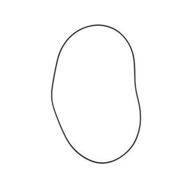 Click here to see Ridgid 40403 RIDGID Replacement Seal for the SeeSnake LT1000 Digital Laptop Interface -  40403