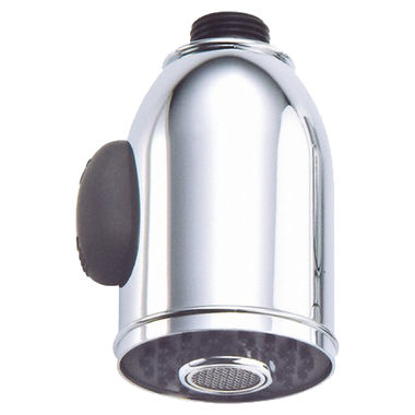 Click here to see Danze DA523269N Danze DA523269N Chrome Spray Head for Pull-Down Kitchen Faucets