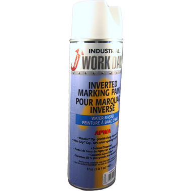 Click here to see Christy's  Krylon White Marking Paint